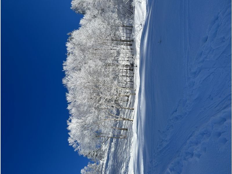 富良野-Greenjourney- のギャラリー