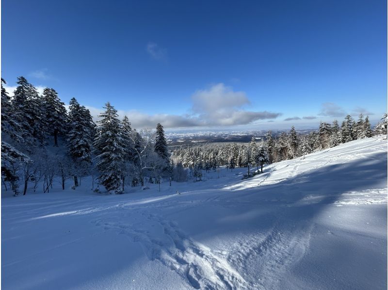富良野-Greenjourney- のギャラリー