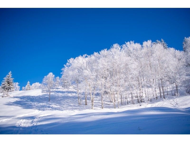 富良野-Greenjourney- のギャラリー