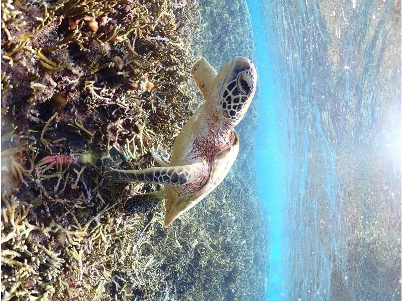 Nami宮古島 のギャラリー