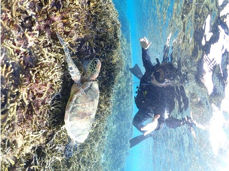 Nami宮古島 のギャラリー