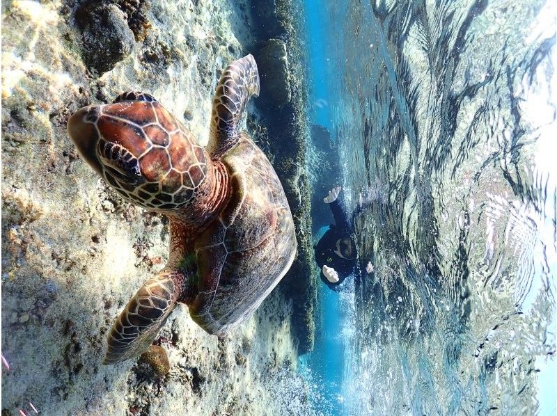 Nami宮古島 のギャラリー