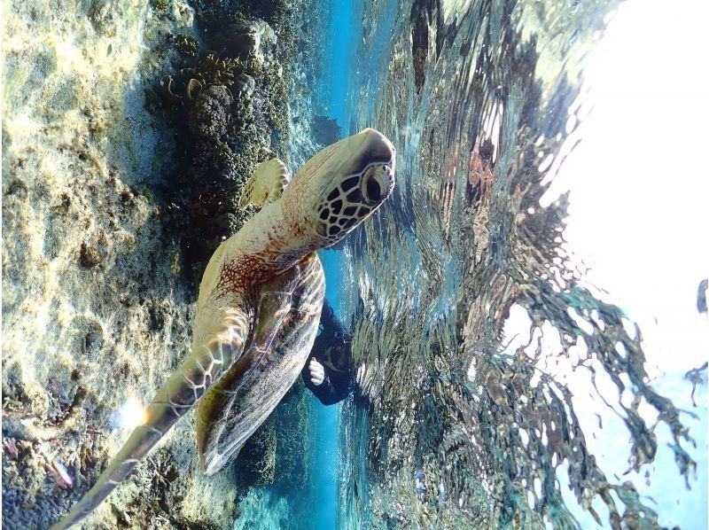 Nami宮古島 のギャラリー