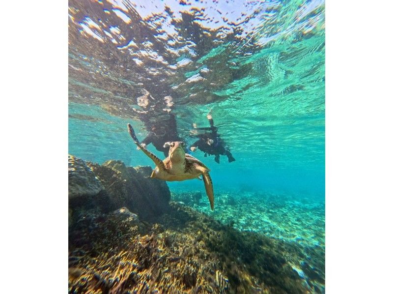 宮古島 ADVENTURE PiPi（ピピ） のギャラリー