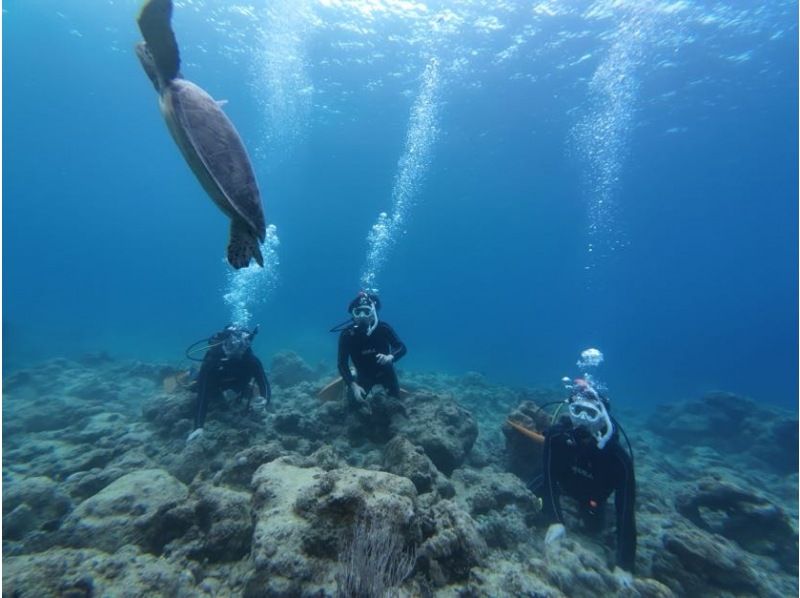 OceanStudio のギャラリー