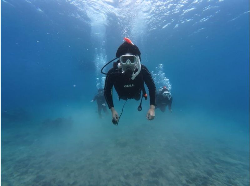 OceanStudio のギャラリー