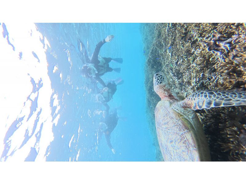 nico 宮古島 のギャラリー