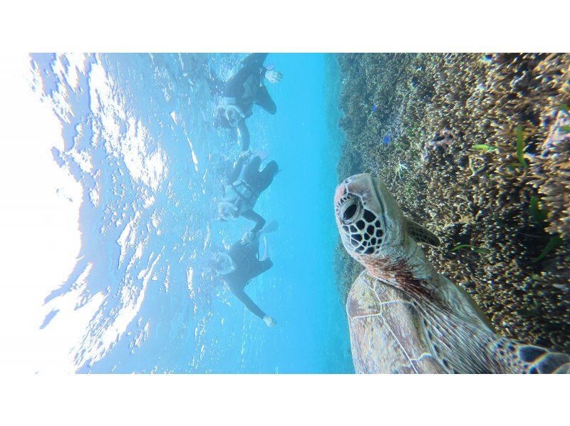 nico 宮古島 のギャラリー