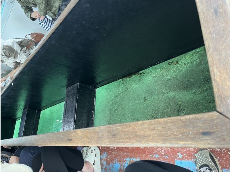 BLUE CORAL のギャラリー