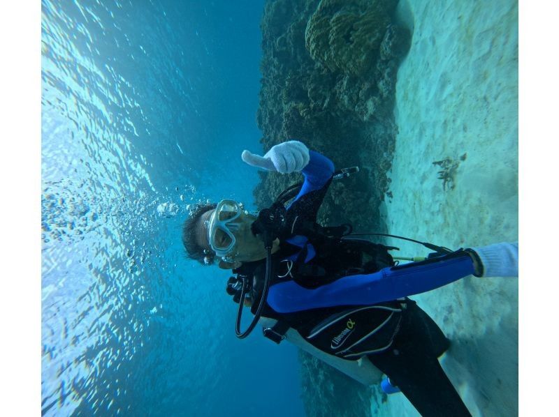 ピース のギャラリー