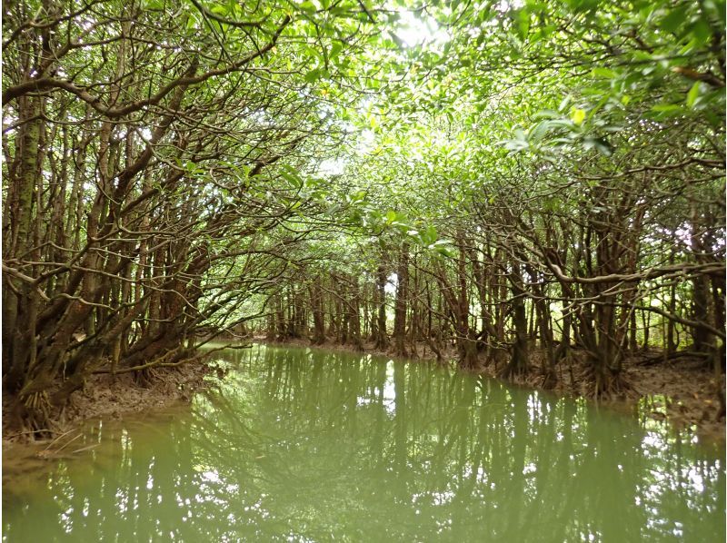 縄文トライブス　宮古島 のギャラリー