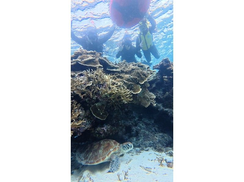 宮古島 ADVENTURE PiPi（ピピ） のギャラリー