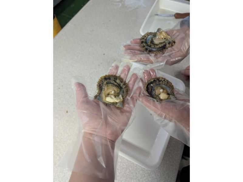 真珠工房 真珠の里 のギャラリー