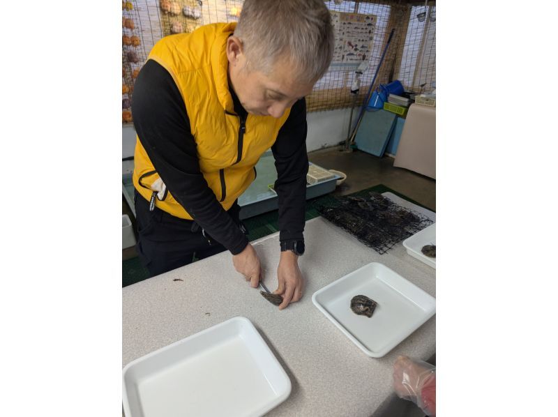 真珠工房 真珠の里 のギャラリー