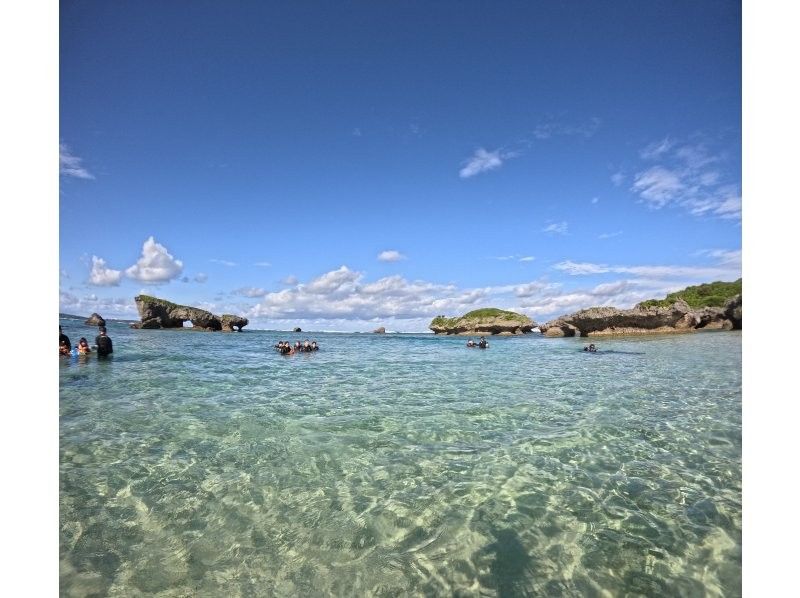 武藤潜水 のギャラリー