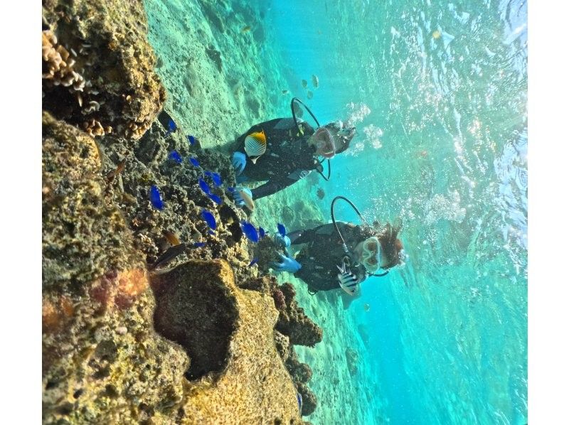 武藤潜水 のギャラリー