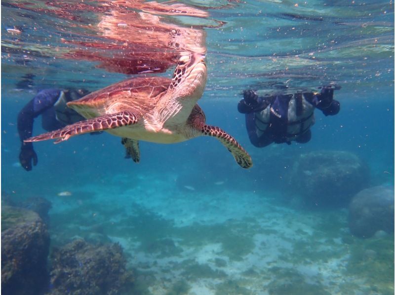 シュノーケリング・SUP専門店【シートラベラー(Sea traveler)】 のギャラリー