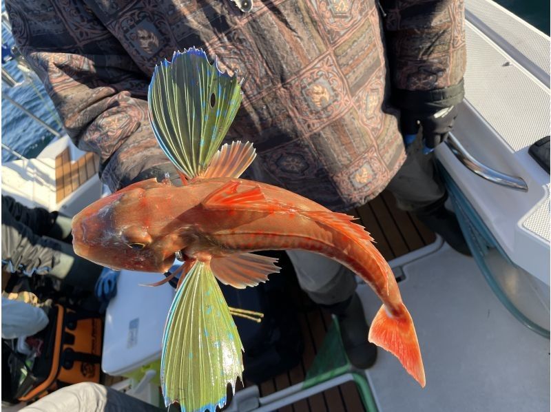 Fishing Guide Treasure　(ことり丸) のギャラリー