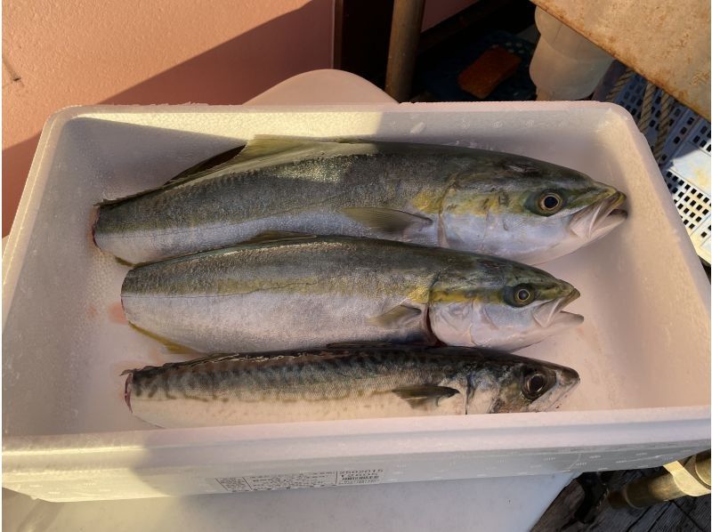 Fishing Guide Treasure　(ことり丸) のギャラリー