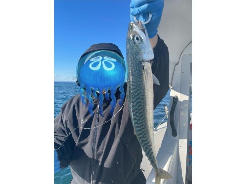 Fishing Guide Treasure　(ことり丸) のギャラリー