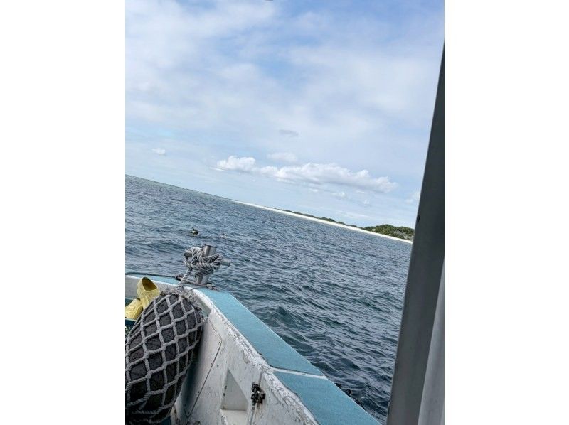 M.a.r.i.n.e Factory のギャラリー