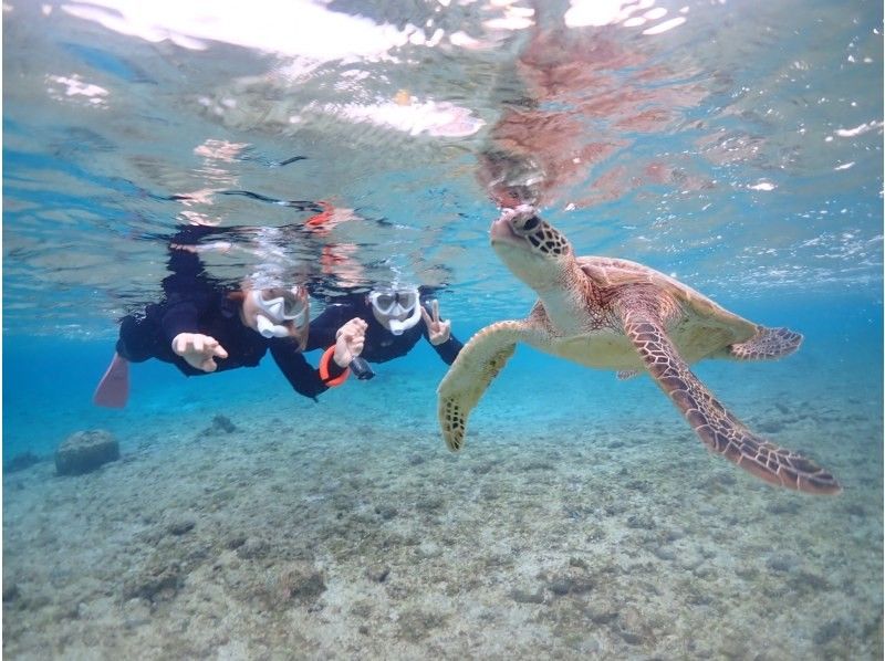 Nami宮古島 のギャラリー