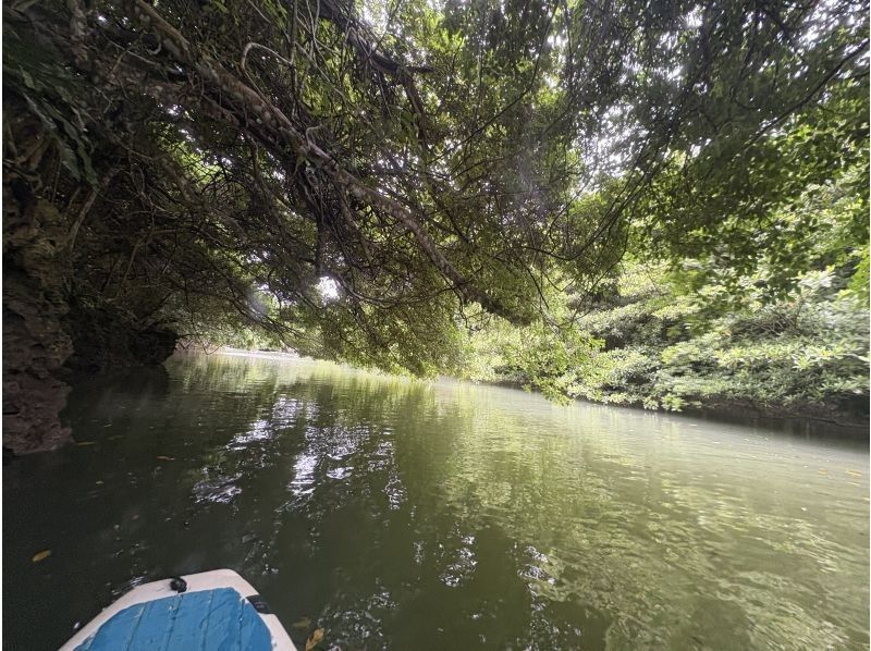 石垣島  ADVENTURE PiPi（ピピ） のギャラリー