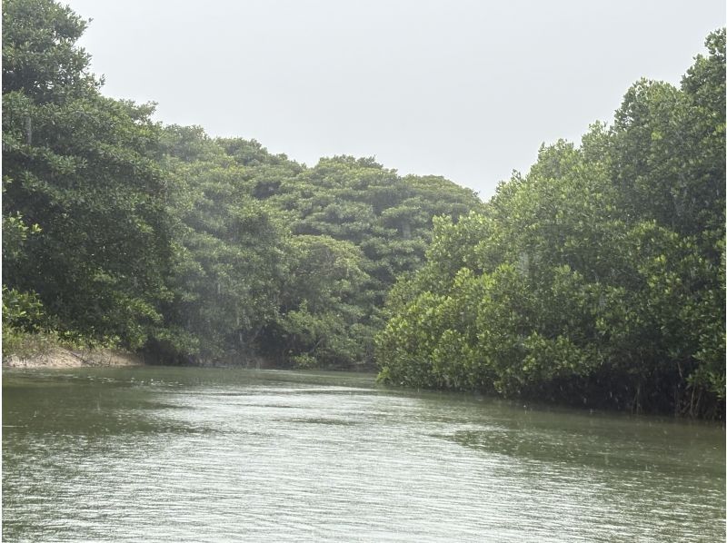 石垣島  ADVENTURE PiPi（ピピ） のギャラリー