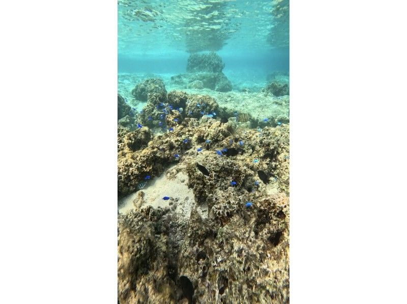 Bal field（バルフィールド） のギャラリー