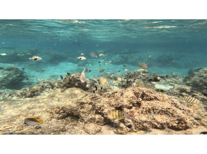 Bal field（バルフィールド） のギャラリー