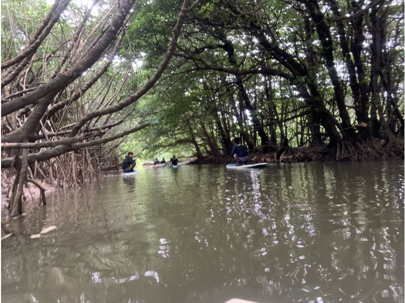 石垣島  ADVENTURE PiPi（ピピ） のギャラリー