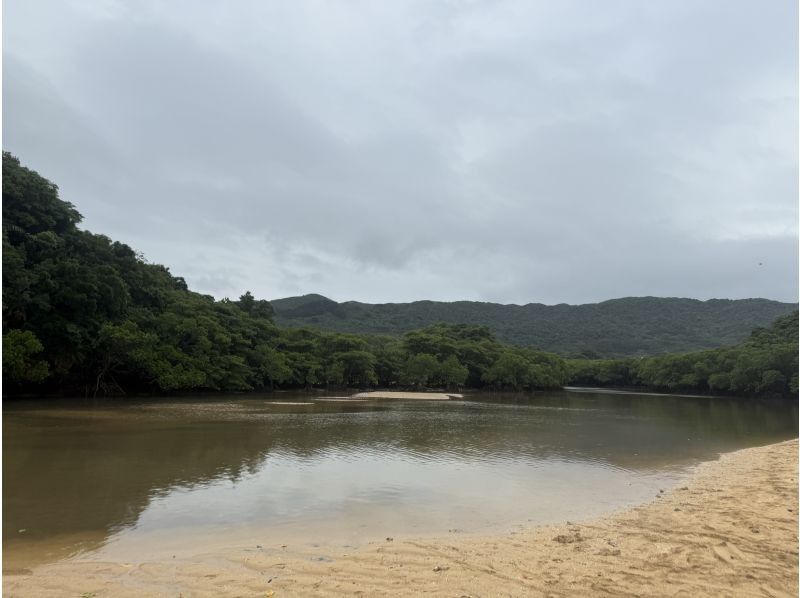 石垣島 海ツアー のギャラリー
