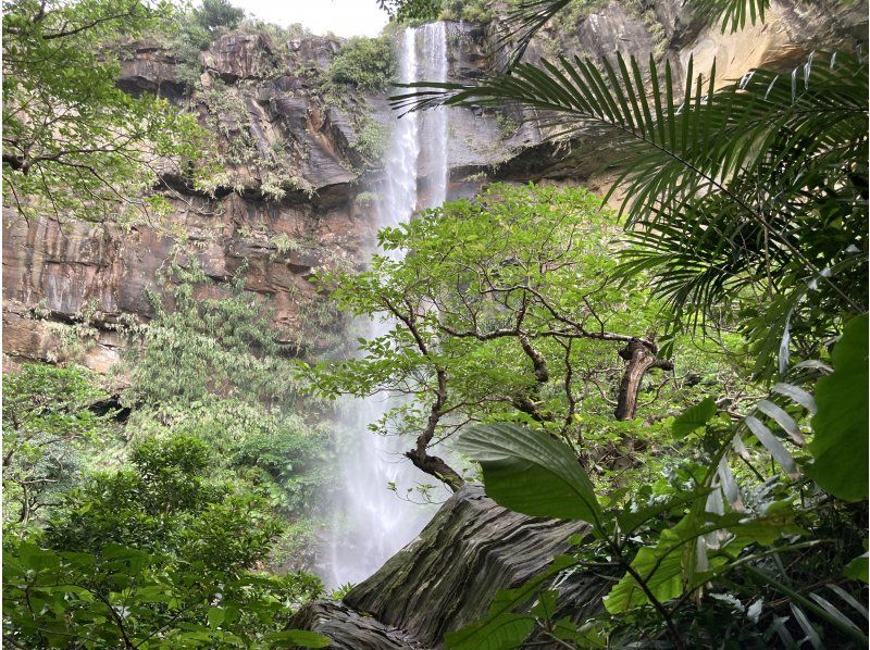 西表島カヌーツアー風車 のギャラリー