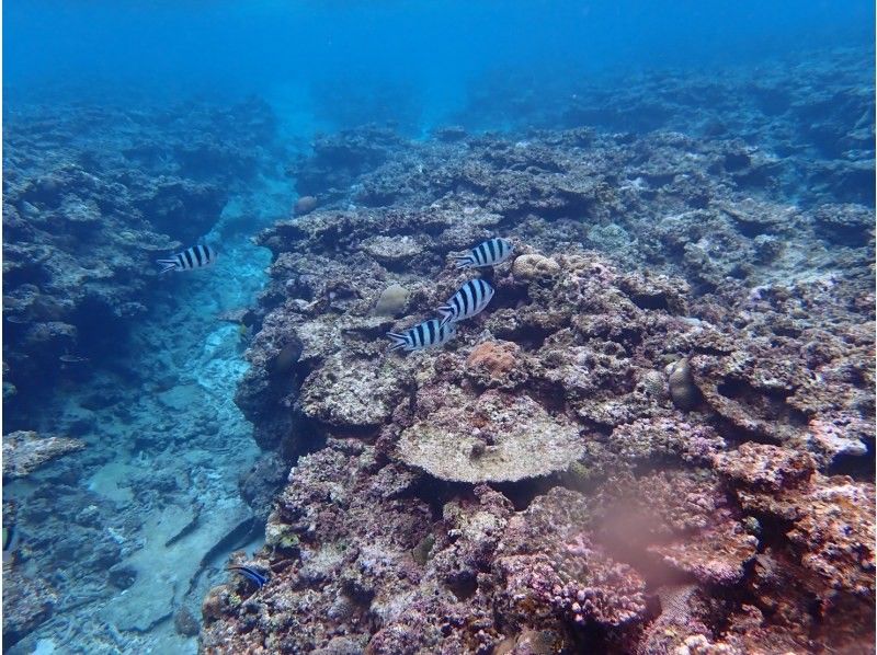 3 piece のギャラリー