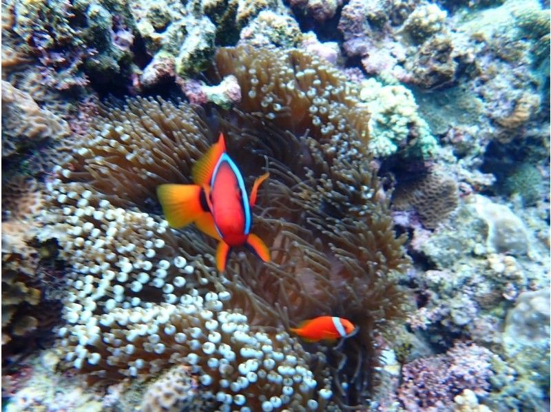 3 piece のギャラリー