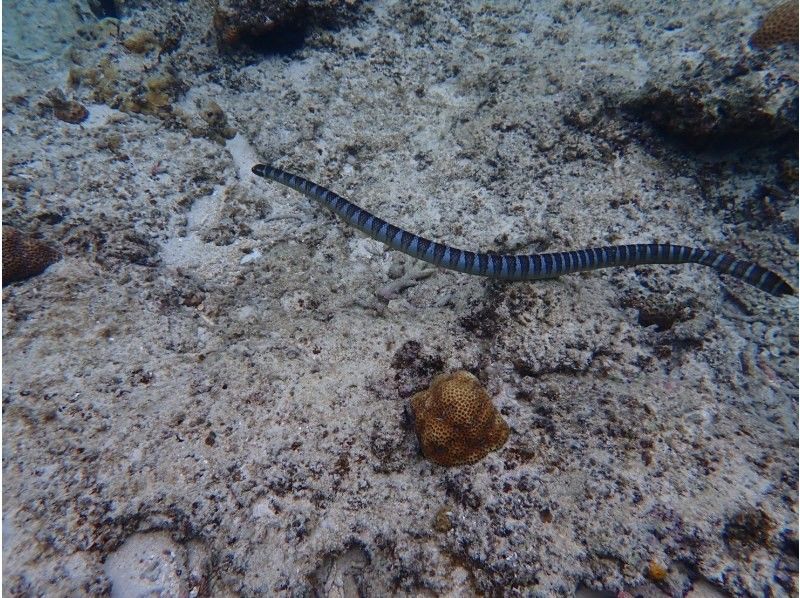 3 piece のギャラリー