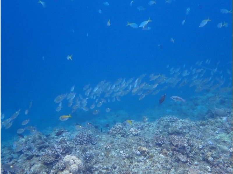 3 piece のギャラリー