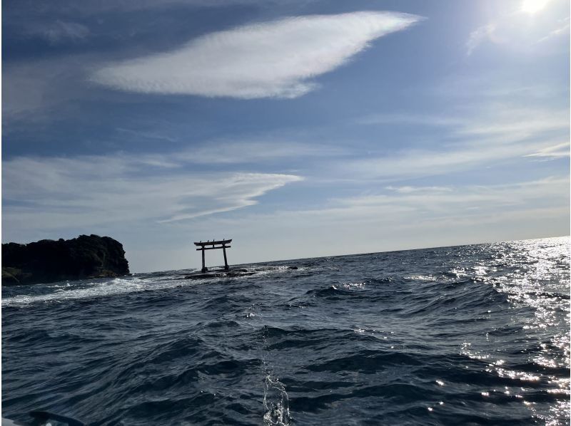 SeafariJapan合同会社 のギャラリー