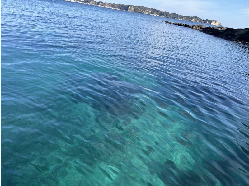 SeafariJapan合同会社 のギャラリー