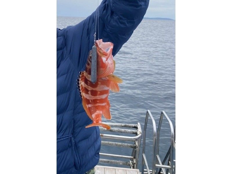 琉球釣り物語 のギャラリー