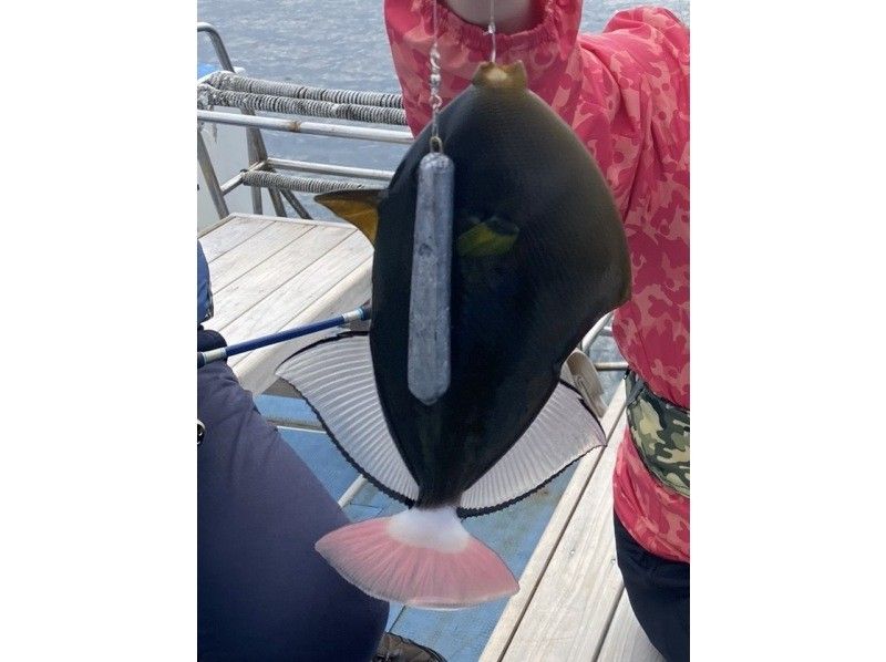 琉球釣り物語 のギャラリー