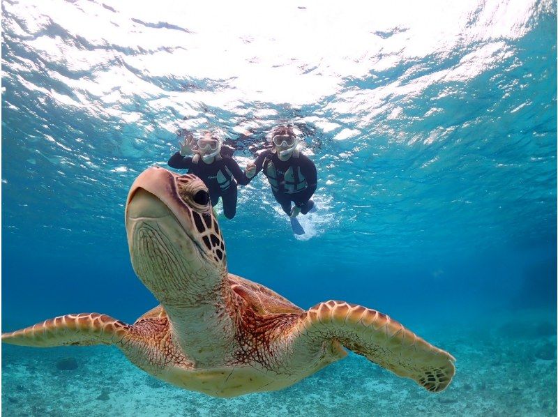 nico 宮古島 のギャラリー