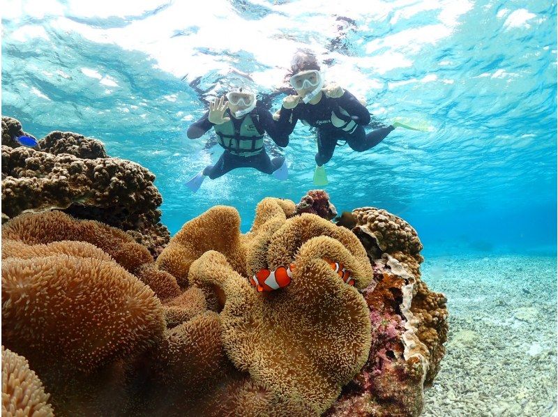 nico 宮古島 のギャラリー