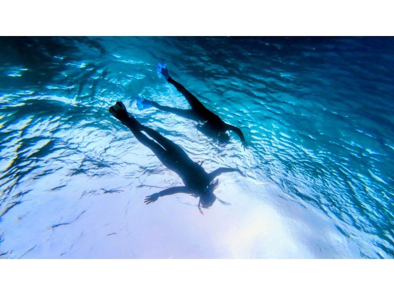 石垣島  ADVENTURE PiPi（ピピ） のギャラリー