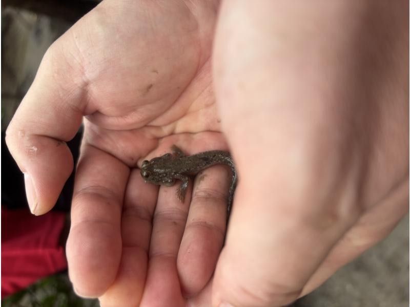 石垣島 海ツアー のギャラリー