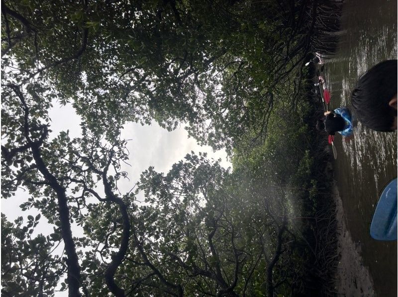石垣島 海ツアー のギャラリー