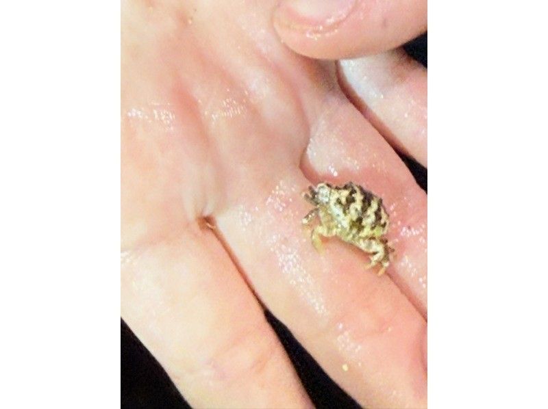 NATURE SHOP PAO のギャラリー