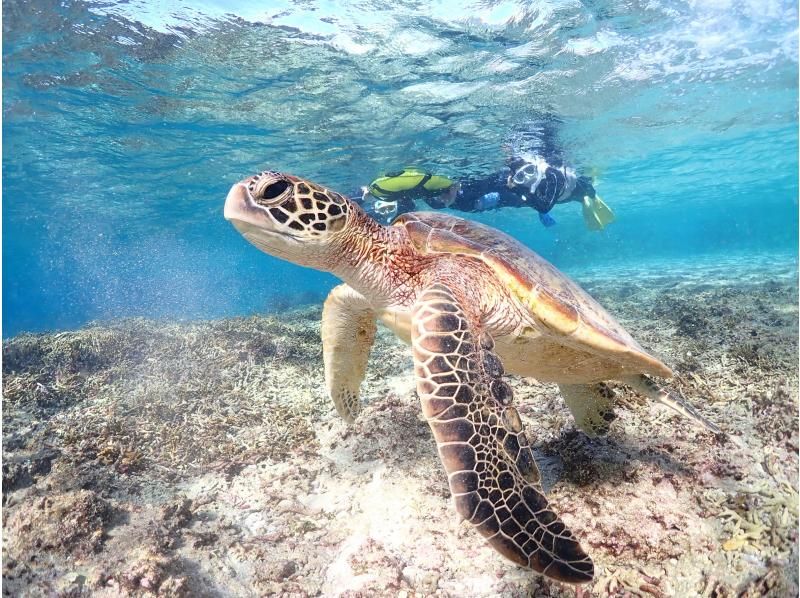 宮古島マリンショップSmiley のギャラリー