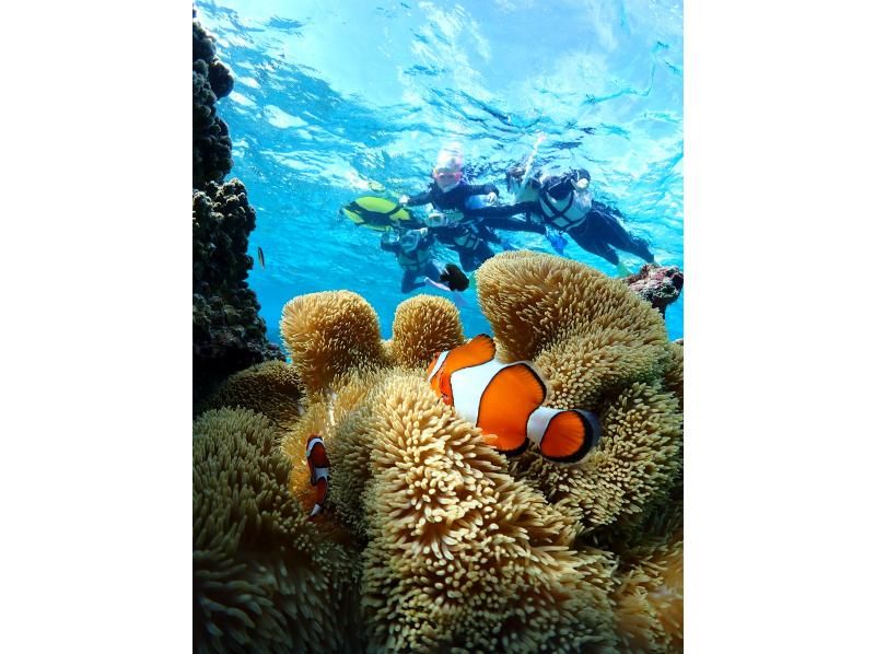 宮古島マリンショップSmiley のギャラリー