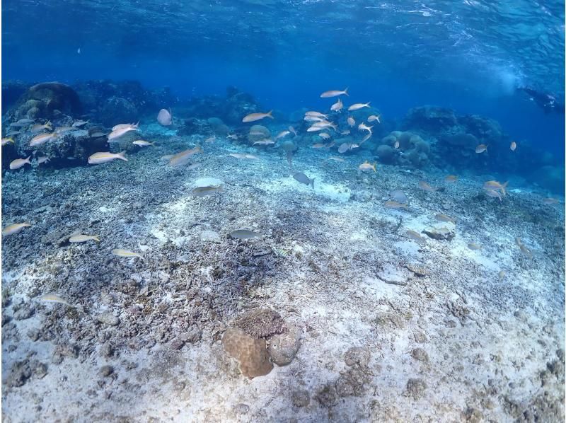 宮古島マリンショップSmiley のギャラリー